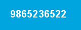 9865236522 9865236522