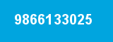 9866133025