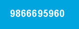 9866695960