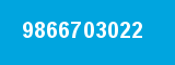 9866703022