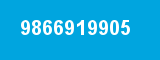 9866919905