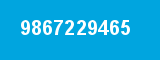 9867229465