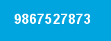9867527873