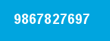 9867827697