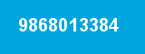 9868013384 9868013384