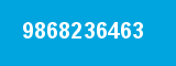9868236463