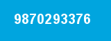 9870293376