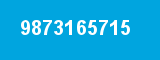 9873165715 9873165715