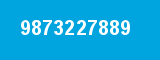 9873227889