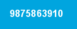 9875863910