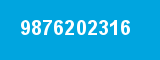 9876202316