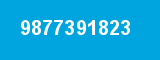 9877391823