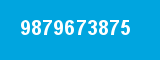 9879673875