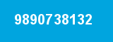 9890738132