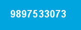 9897533073