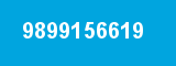 9899156619