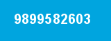 9899582603