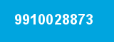 9910028873
