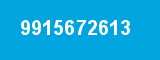 9915672613