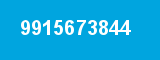 9915673844
