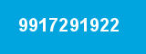 9917291922