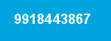 9918443867 9918443867