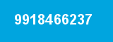9918466237