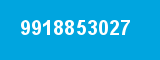 9918853027