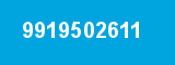 9919502611 9919502611