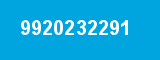 9920232291