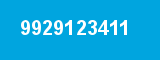9929123411 9929123411