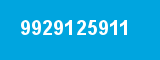 9929125911