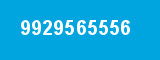 9929565556