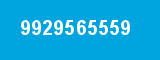 9929565559 9929565559