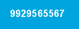 9929565567 9929565567