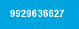 9929636627 9929636627