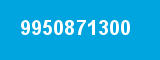 9950871300