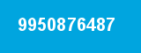 9950876487