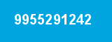 9955291242