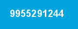 9955291244 9955291244