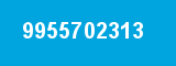 9955702313 9955702313