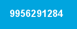 9956291284 9956291284