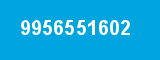 9956551602
