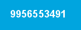 9956553491 9956553491