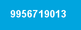 9956719013