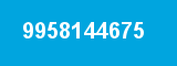 9958144675 9958144675