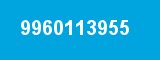9960113955 9960113955