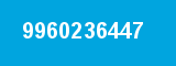 9960236447 9960236447