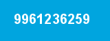 9961236259