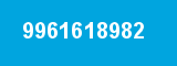 9961618982